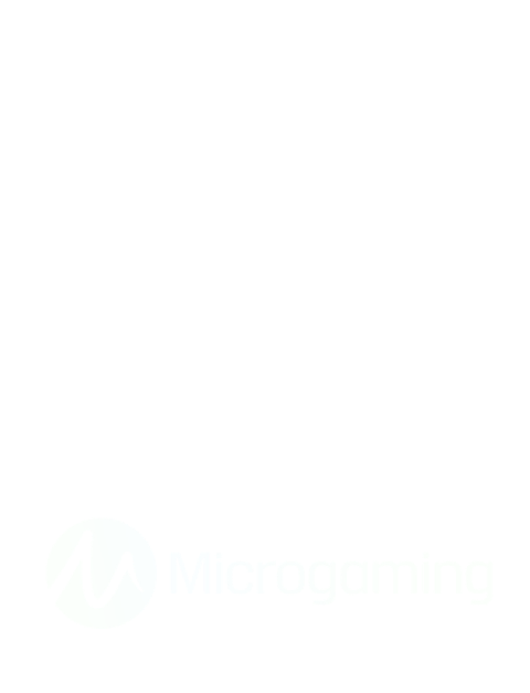 Micro Gaming Slots