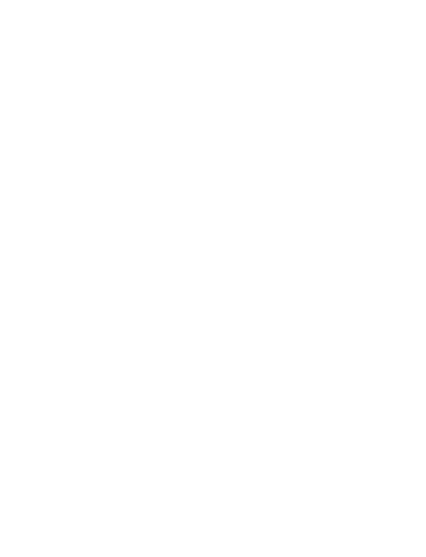 SBO